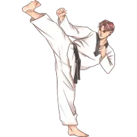 Taekwondo-side-kick-Yeop-Chagi